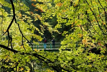Последние выходные сентября принесут в Украину тепло: прогноз погоды по городам