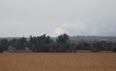 Иллюстрация / REUTERS