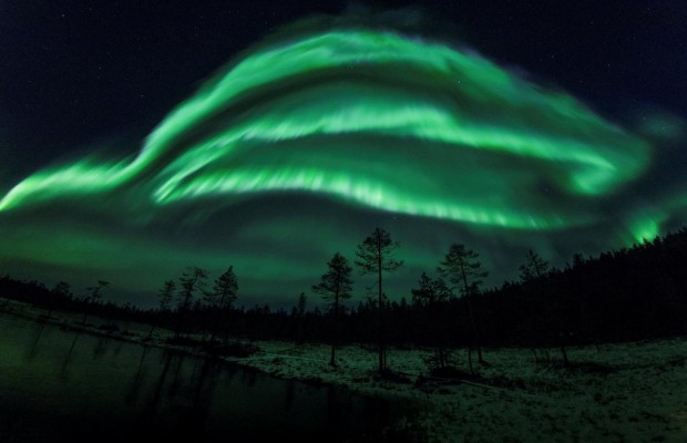 Пережить карантин и не сойти с ума: лучшие успокаивающие онлайн-трансляции природы (видео)