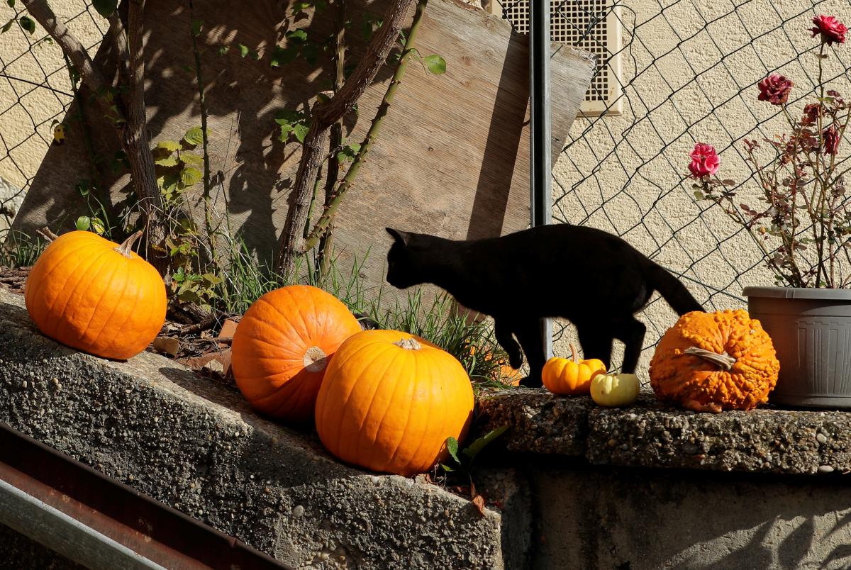 27 вересня в Києві буде по-літньому тепло / фото REUTERS