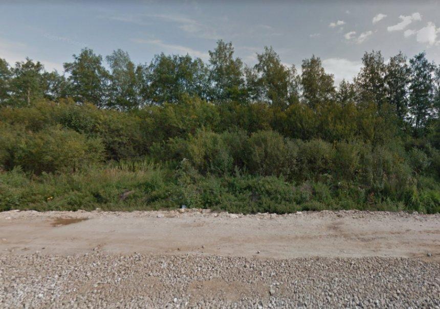 По некоторым признакам можно предположить, что голова принадлежала женщине / фото novosti-n.org