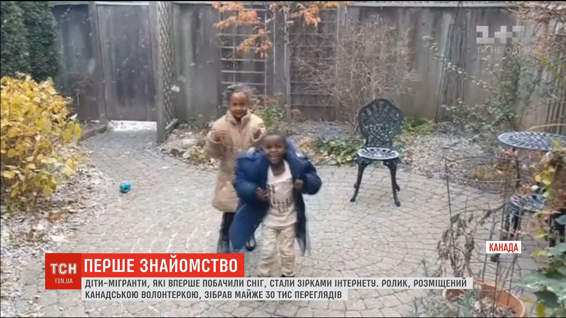 Ролик в сети разместила канадская волонтер / скриншот Ролик в сети разместила канадская волонтер / скриншот
