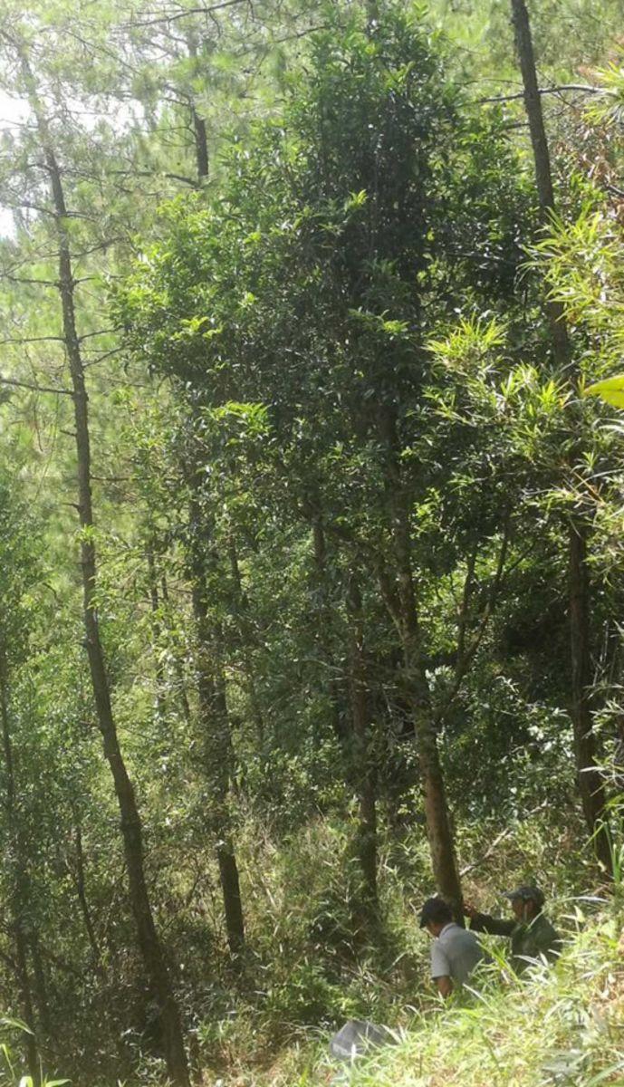 фото naked-science