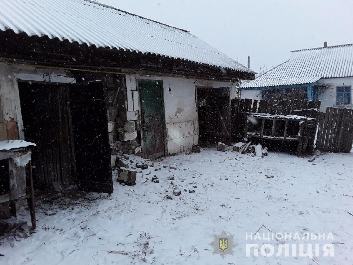Догхантеры забирали у их владельцев породистых собак и кошек на передержку / Нацполиция Догхантеры забирали у их владельцев породистых собак и кошек на передержку / Нацполиция