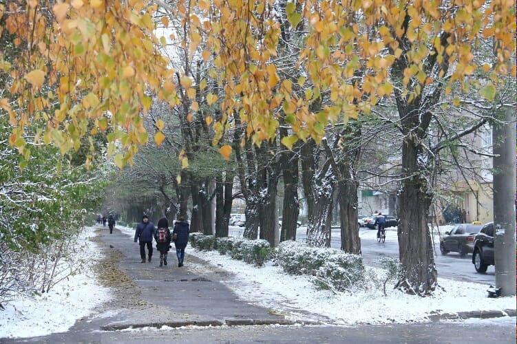 В Мелитополе выпал первый снег / https://www.instagram.com/mv_novosty/ В Мелитополе выпал первый снег / https://www.instagram.com/mv_novosty/