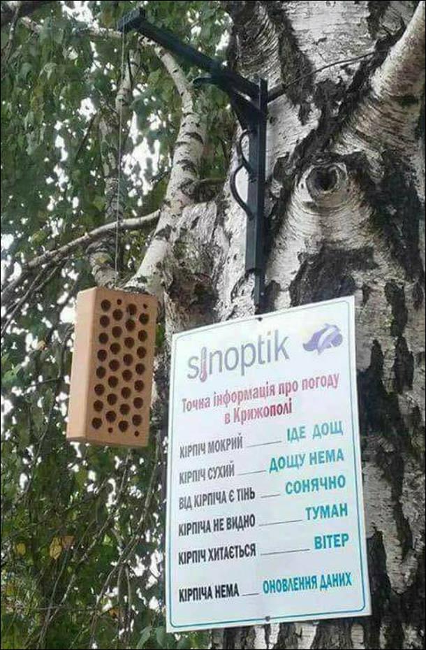 фото з відкритих джерел фото з відкритих джерел
