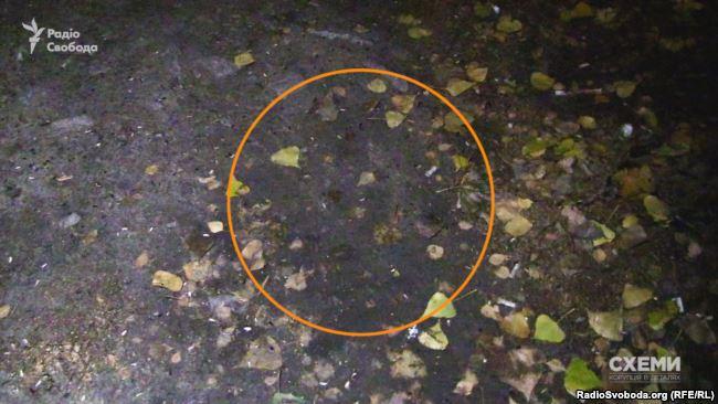 Свежие следы от шин возле одного из заездов к имению Петра Порошенко / фото radiosvoboda.org