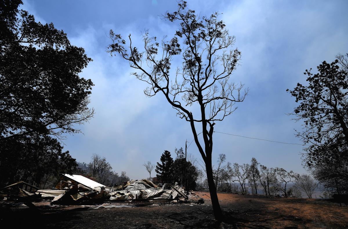 Австралію охопили лісові пожежі / REUTERS
