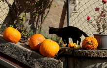 Перед выходными температура в Киеве подскочит до +28°