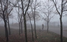 Тумани та морози: синоптик розповіла про погоду на завтра