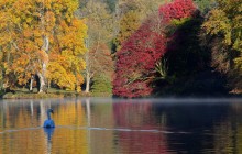Не лише туман: Reuters опублікував барвисті фото осінньої Британії (фоторепортаж)