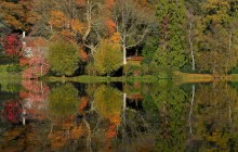 Погода на сегодня: в Украину вернется тепло и солнечная погода (карта)