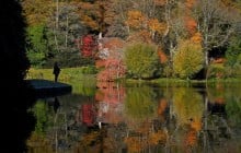 Теплая и без осадков: стало известно, какой будет погода в сентябре
