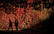 Выходные в сентябре: сколько дней будут отдыхать украинцы