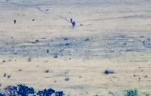 Уничтожение разведгруппы боевиков на Донбассе попало на видео