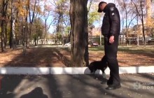 На Днепропетровщине коп спас щенка, который имел мизерные шансы на жизнь (видео)