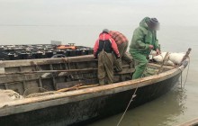 На Дністровському лимані затримали браконьєрів, які наловили 4 тонни коропів (фото)
