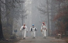 Лісові пожежі в Каліфорнії: 69 осіб загинули, понад 600 зникли безвісти (відео)