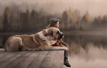 Самые верные и преданные: истории, которые доказывают, что собаки - лучшие друзья (лонгрид)