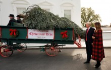 Уже привезли елку: в Белом Доме начали подготовку к Рождеству (видео)