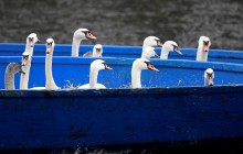 Гамбург на зиму остался без одной из главных своих туристических "изюминок" (фоторепортаж)