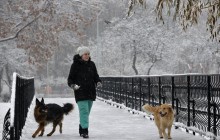 В Украине завтра будет холодно, местами ожидается до -14° (видеопрогноз)