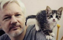 Ассанж из-за угроз расстался со своим котом