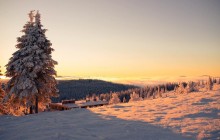 В сети показали сказочные пейзажи покрытых снегом Карпат (фото)