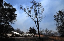 В Австралії через лісові пожежі евакуювали близько 8 тисяч осіб