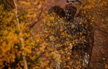 У Ліверпулі встановили скульптуру янгола, виготовлену зі 100 тисяч ножів (фото, відео)