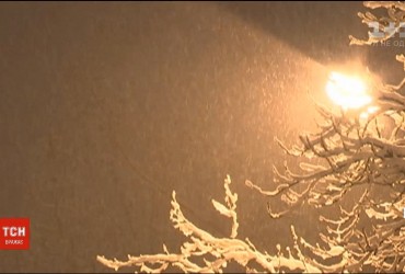 Гидрометцентр заявил о вероятности первого снега на этой неделе