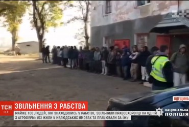 В Одесской области из рабства на агроферме освободили почти сотню людей
