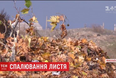 Коммунальщики Николаева призывают горожан не палить листья