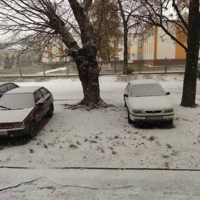 Pictures First snowfall hits Kyiv 14 November 2018