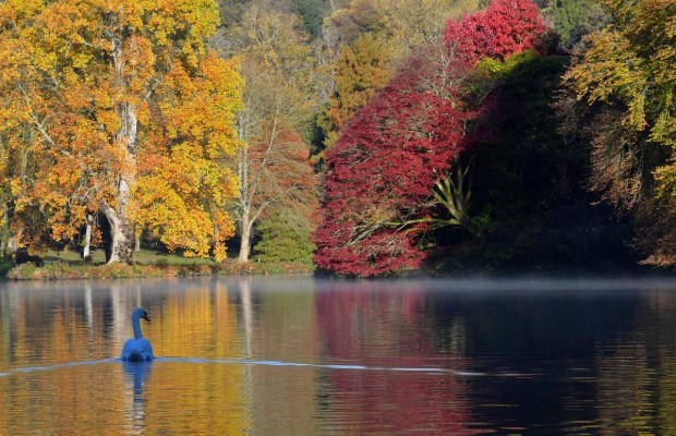 Не только туман: Reuters опубликовал красочные фото осенней Британии (фоторепортаж)