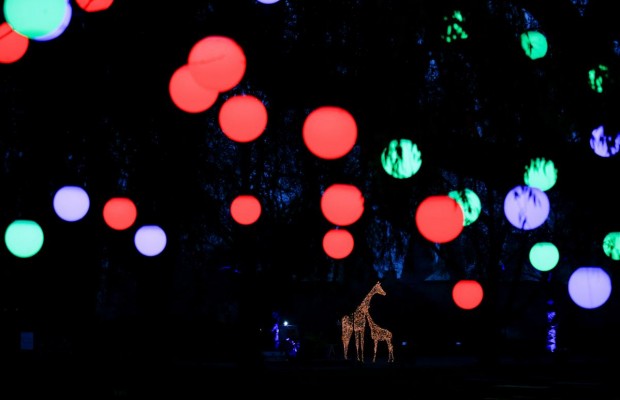 В лондонском зоопарке зажглась рождественская иллюминация (фото, видео)