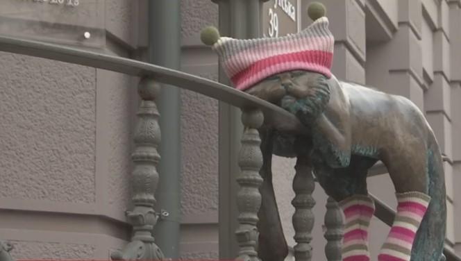 Всі коти отримали гарний теплий одяг / скріншот відео ТСН Всі коти отримали гарний теплий одяг / скріншот відео ТСН