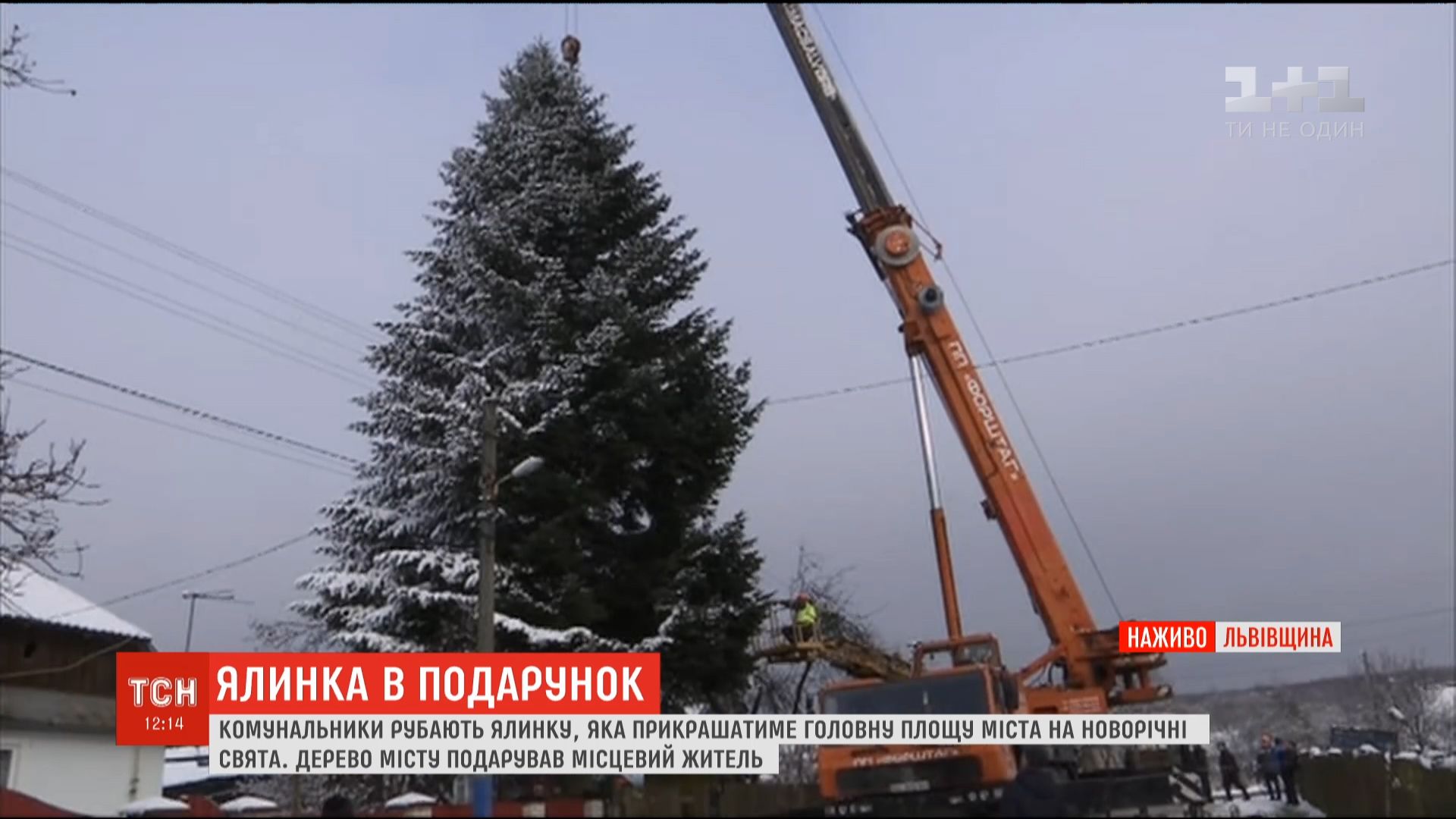 Ялинку повинні встановити у Львові вже сьогодні / скріншот Ялинку повинні встановити у Львові вже сьогодні / скріншот