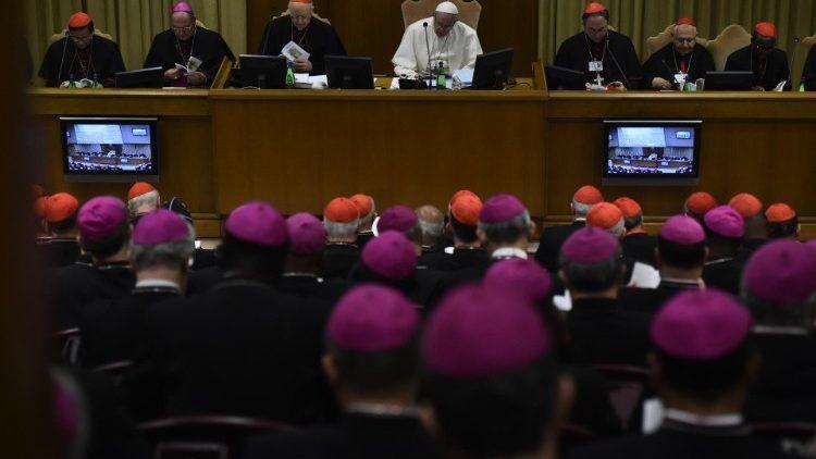 Католицькі єпископи / Vatican Media