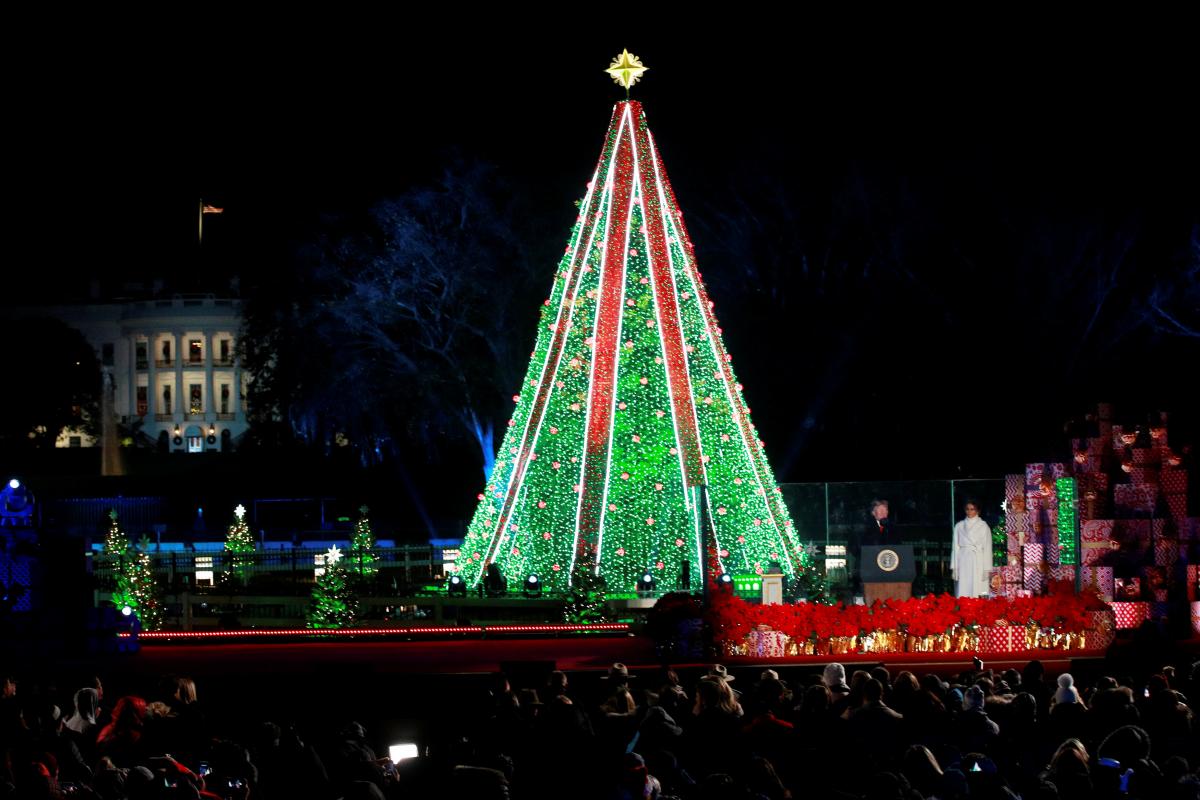 Рождественская елка возле Белого дома / REUTERS