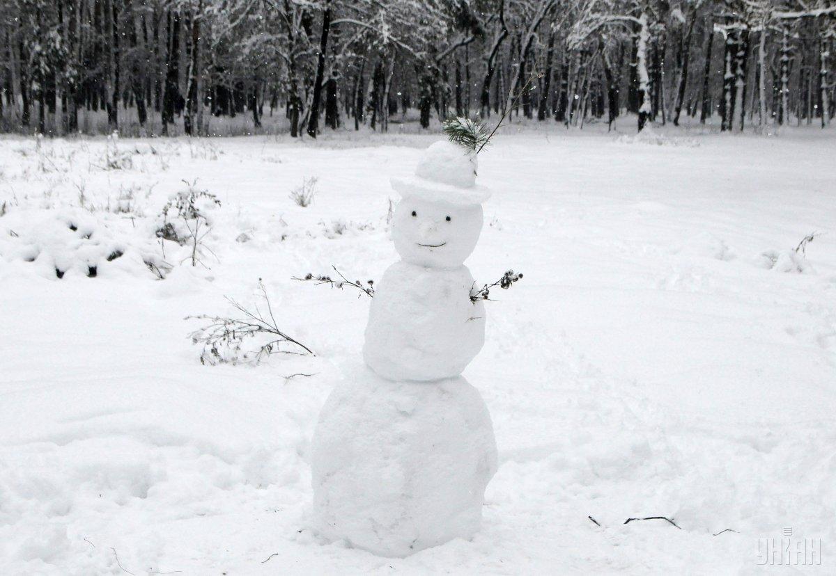 20 января - Всемирный день снега / фото УНИАН
