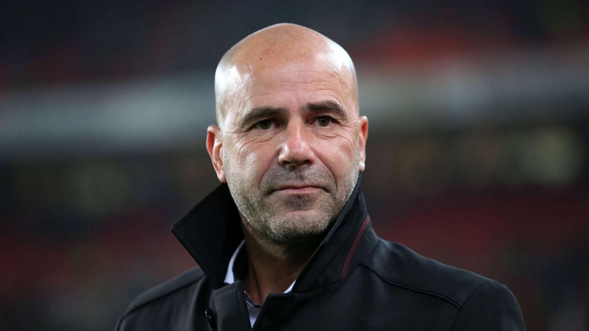 Петер Бош / bayer04.de Петер Бош / bayer04.de