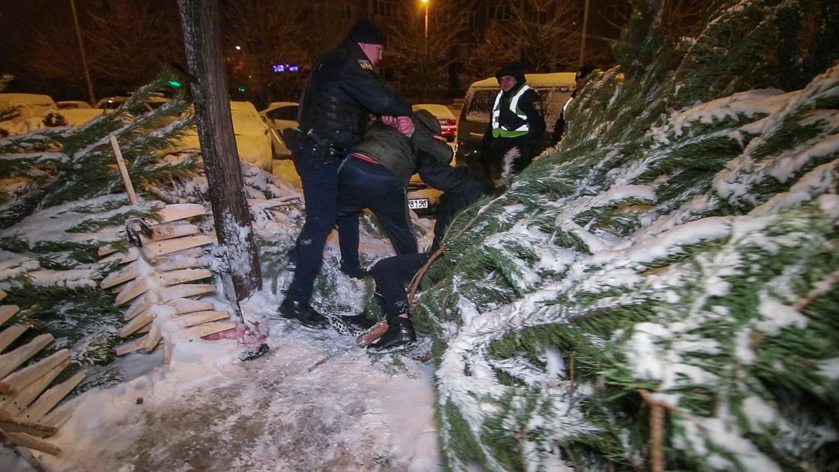 У Києві затримали викрадачів новорічної ялинки / Информатор У Києві затримали викрадачів новорічної ялинки / Информатор