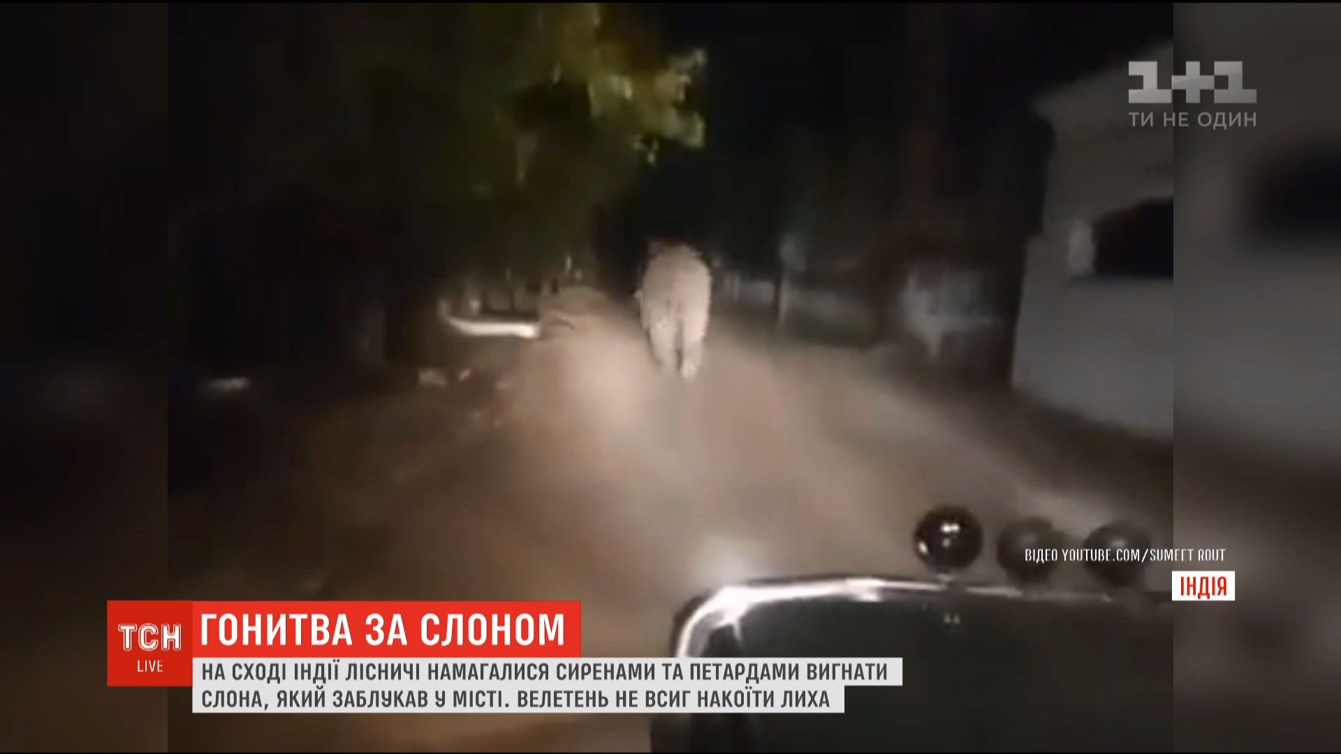 Скриншот Скриншот