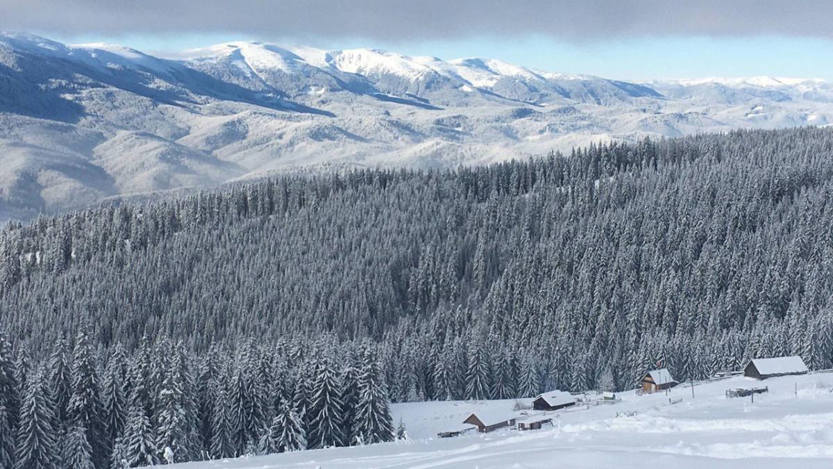 Первый рейс из Харькова отправится 18 декабря / фото Вероника Кордон Первый рейс из Харькова отправится 18 декабря / фото Вероника Кордон