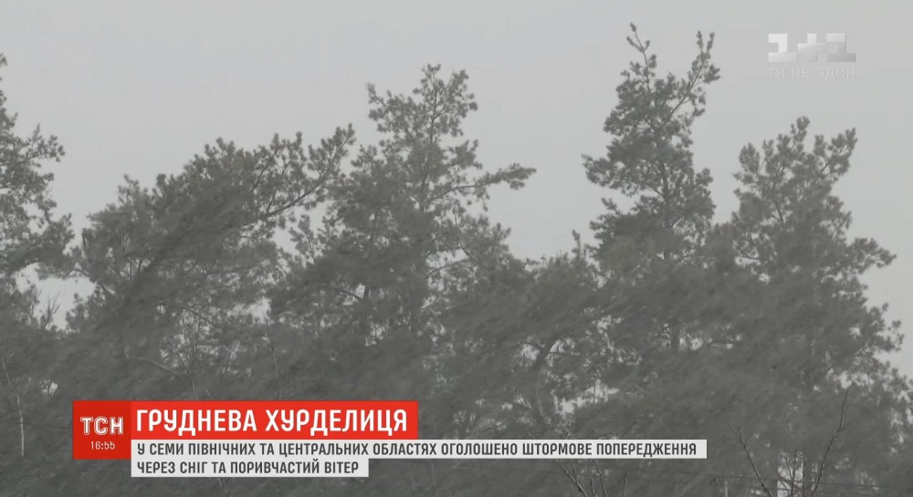 Непогода в Украине: синоптики прогнозируют до 20 сантиметров снега
