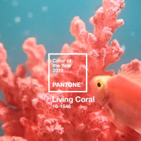 Институт Pantone назвал главный цвет 2019 года