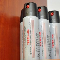 В Черноморске 13-летняя ученица распылила в школе газовый баллончик, пострадали 4 ученика