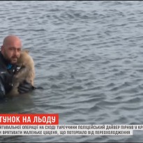 Турецкий полицейский нырнул в ледяную воду ради спасения щенка (видео)