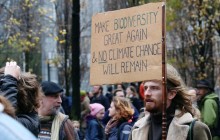 В Брюсселе провели масштабную демонстрацию против изменения климата (фото, видео)